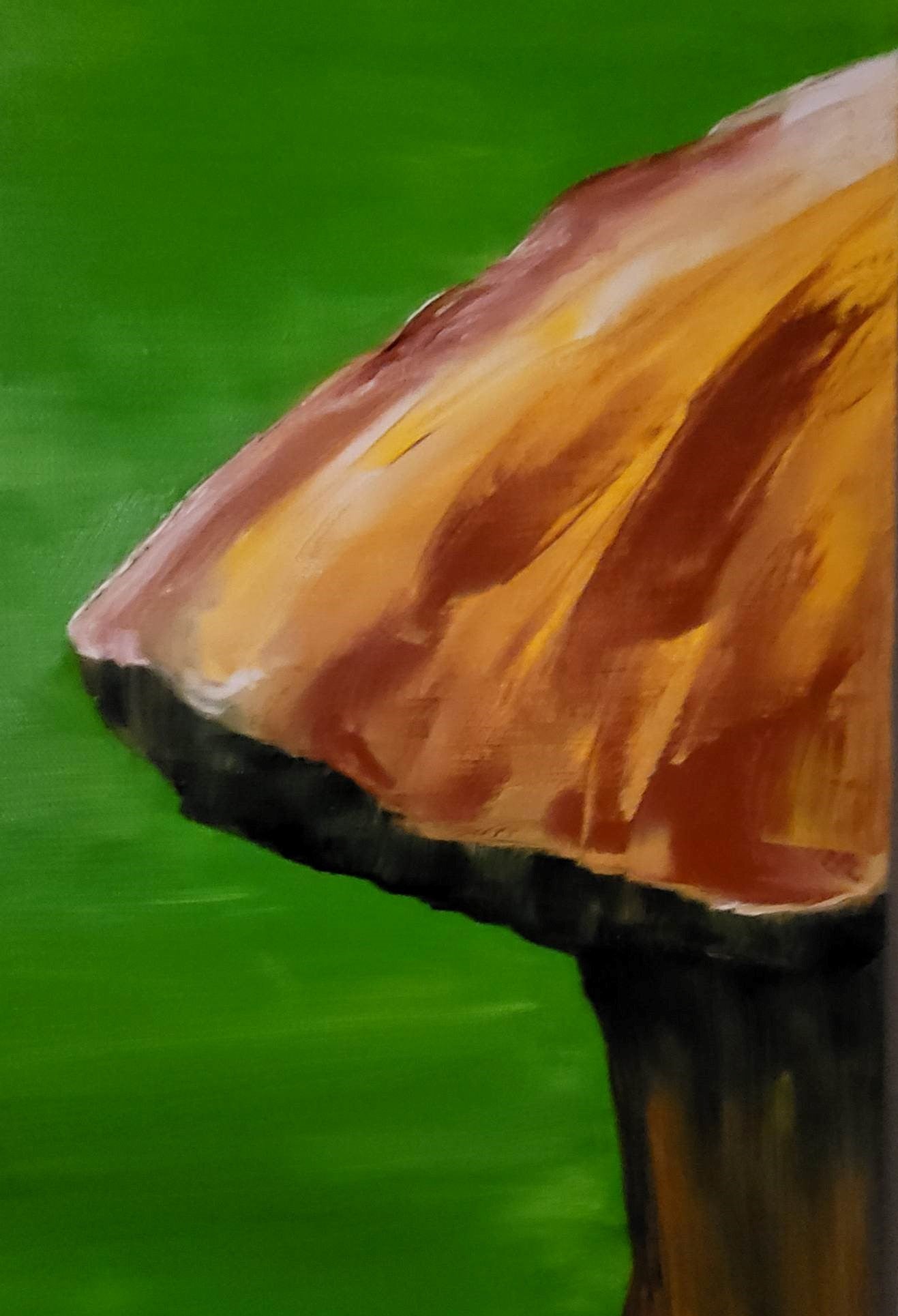 JOYAUX DE LA FORÊT
