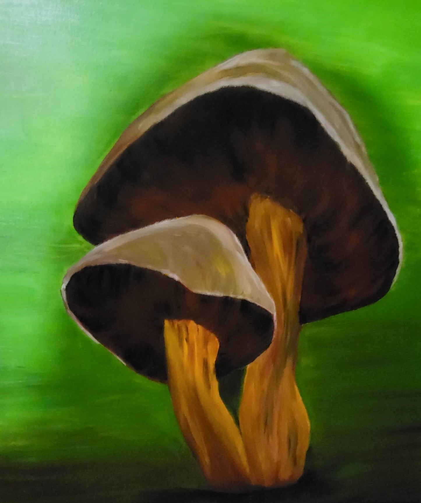JOYAUX DE LA FORÊT