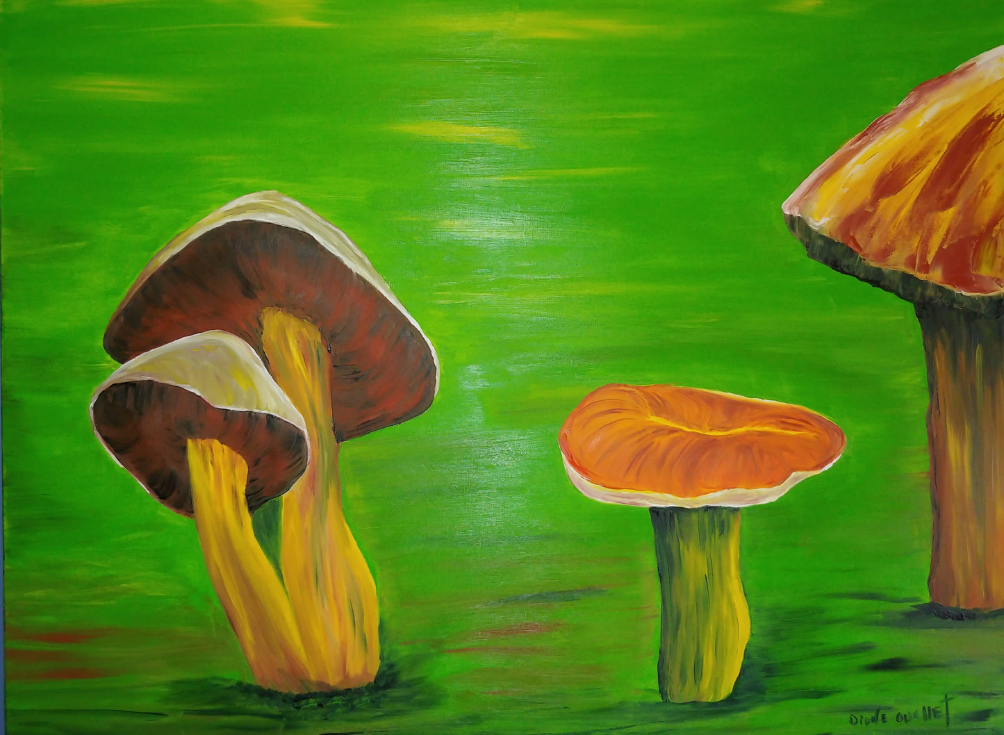 JOYAUX DE LA FORÊT